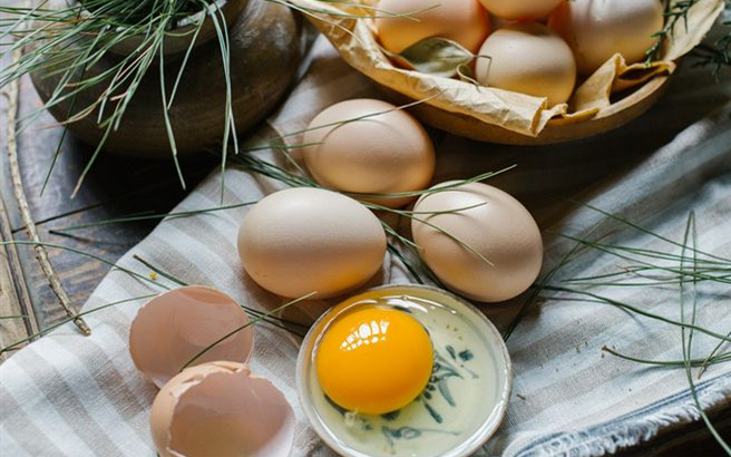 一個雞蛋引發的生活思考