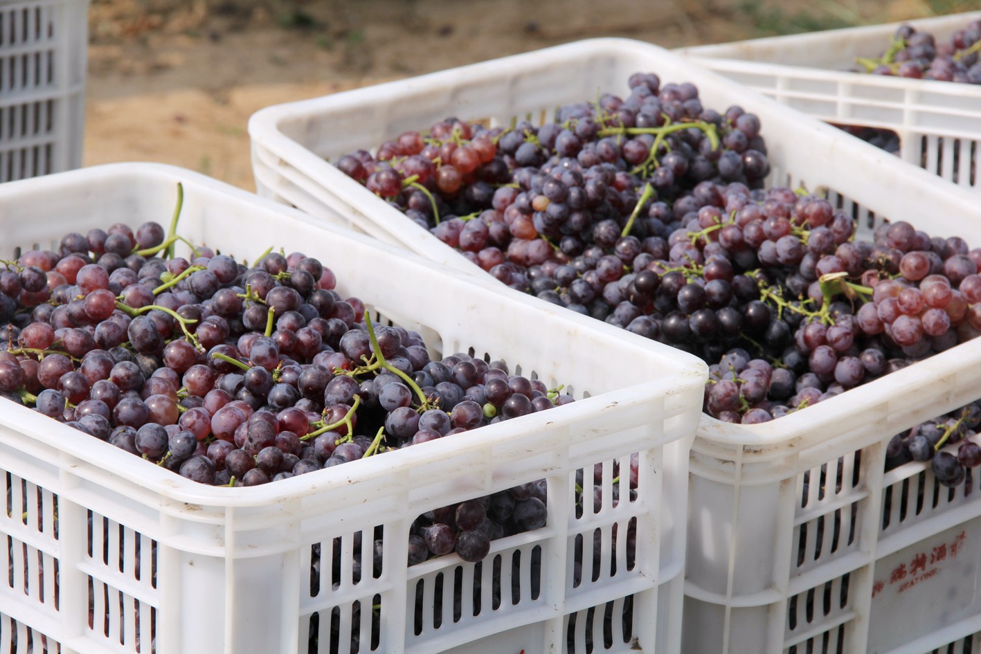 15712810057952.jpg 14.JPG