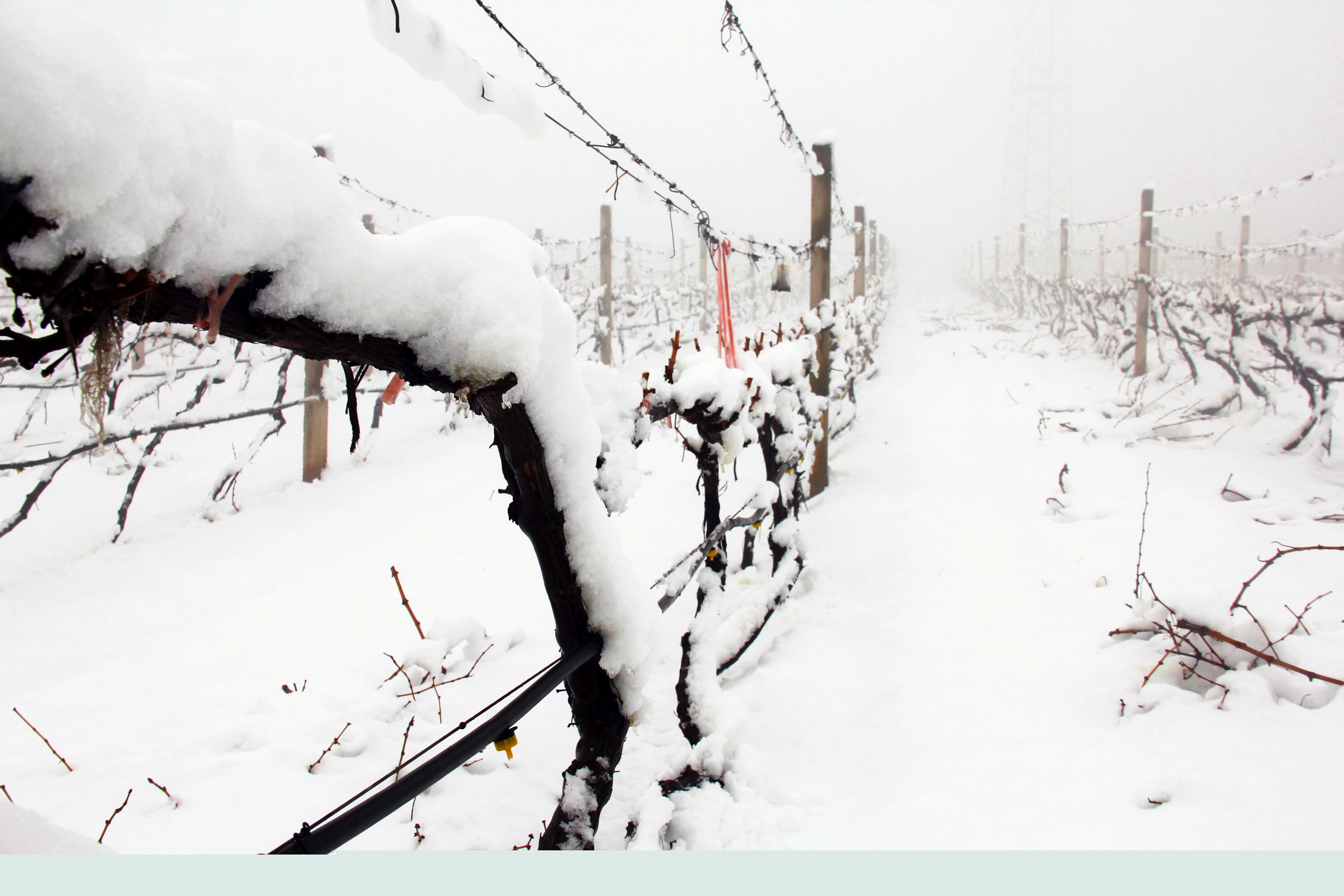 瑞雪兆豐年 ▎時光正好，歲月極美，何必覓遠(yuǎn)方