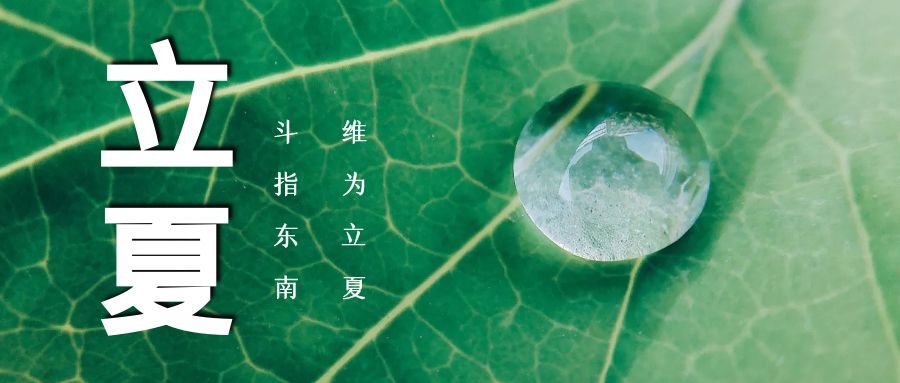 立夏 ▏綠蔭濃，夏日長