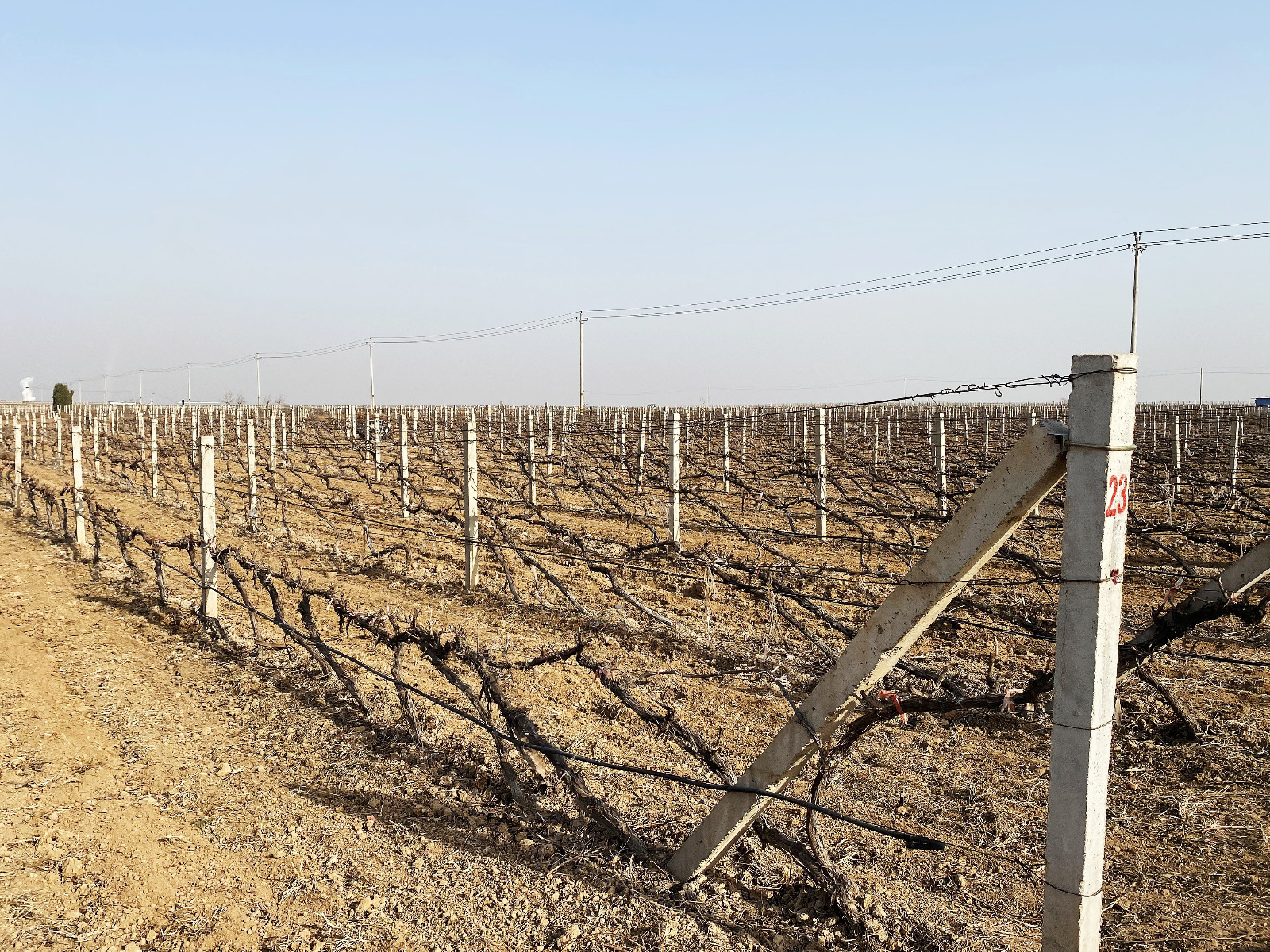 16783434296626.jpg 微信圖片_20230305093015.jpg